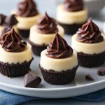 Mini Chocolate Cheesecake Bites Recipe