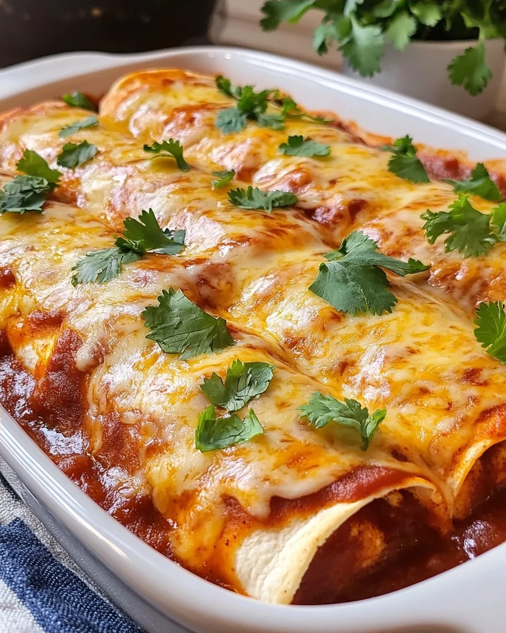 Cheese Enchiladas