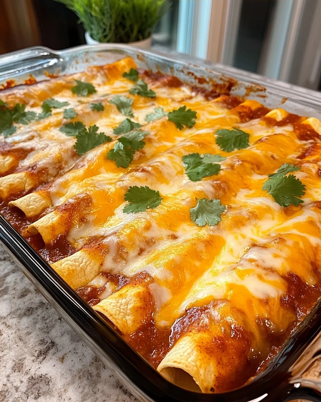 Cheese Enchiladas